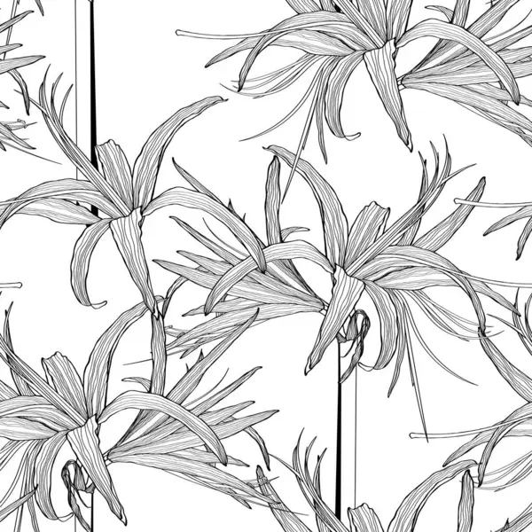 Χειροποίητο Σκίτσο Απεικόνιση Των Λουλουδιών Κρίνα Αδιάλειπτη Μοτίβο Floral Line — Διανυσματικό Αρχείο