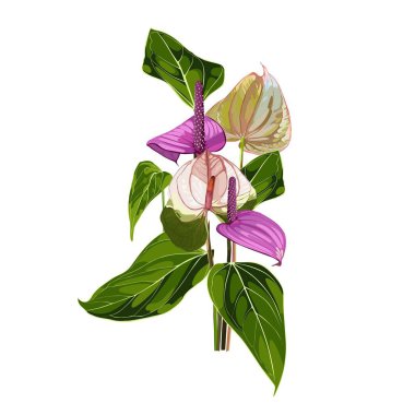 Wedding Invitation, floral invite thank you, rsvp modern card Design. Tropical bouquet with Anthurium and green leaves.