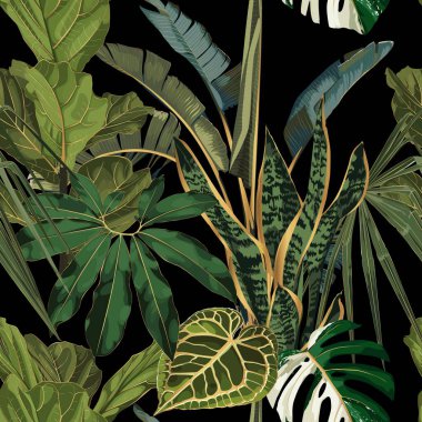 Tropik gece klasik palmiyesi, muz, bitki, altın yapraklar, çiçeksiz sınır siyah arka planı. Egzotik karanlık orman duvar kağıdı.