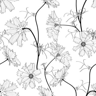 Kozmos çiçeği ve yaprak illüstrasyonuyla kusursuz bir çiçek deseni. Tekstil, duvar kağıtları, baskı, selamlama, web sayfaları için.