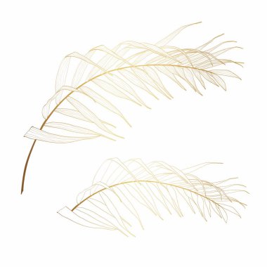 Tropik palmiye yaprakları hazır. Egzotik altın çizgiler, çiçek elementleri izole edilmiş, Hawaii buketi tebrik kartı için..