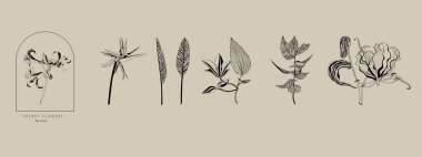 Düğün logosu, botanik kırsal moda çiçek çizimi. Çiçek logosu tasarımı. Rozetler, amblemler, organik kozmetikler, çiçekçiler, fotoğraf logoları..