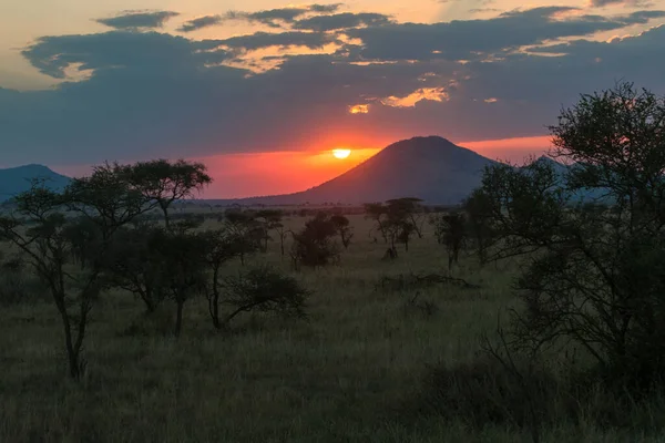 Zachód Słońca Czerwonym Słońcem Drzewa Akacjowe Góry Park Narodowy Serengeti — Zdjęcie stockowe