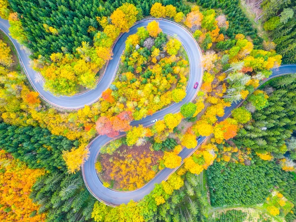 Извилистая Лесная Асфальтовая Дорога Красочный Осенний День Серпантин Природном Ландшафте — стоковое фото