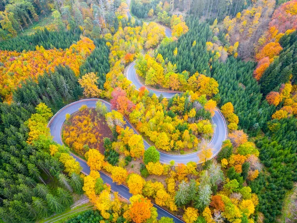 Vindlande Skog Asfalterad Väg Färgglada Höstdag Serpentin Naturlandskap Flygfoto Från — Stockfoto
