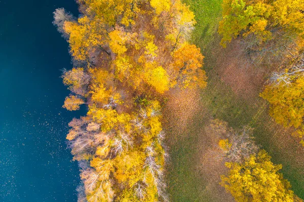 秋の時期には鮮やかな色付きの木々や青い水 ドローンからの空中風景 — ストック写真