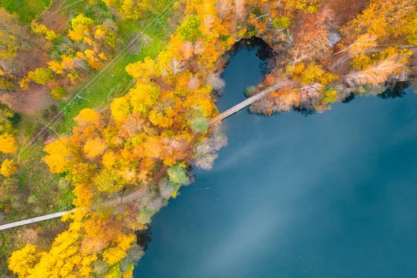 紅葉の時期には青い海に架かる鮮やかな色付きの森と橋を通って観光客の道 ドローンからの空中風景 — ストック写真