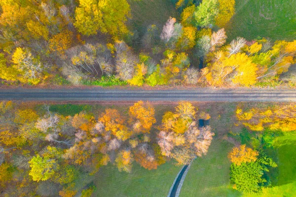 カラフルな秋の森に囲まれた鉄道線路 秋のテーマ — ストック写真