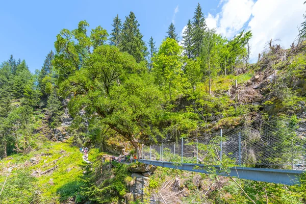 Simple Suspension Footbridge Mountain Valley Riesach Waterfall Schladminger Alps Austria — Fotografia de Stock