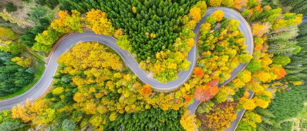 カラフルな秋の日に森林アスファルトの道路巻き 自然の風景の中で蛇紋岩 ドローンからの空中風景 — ストック写真
