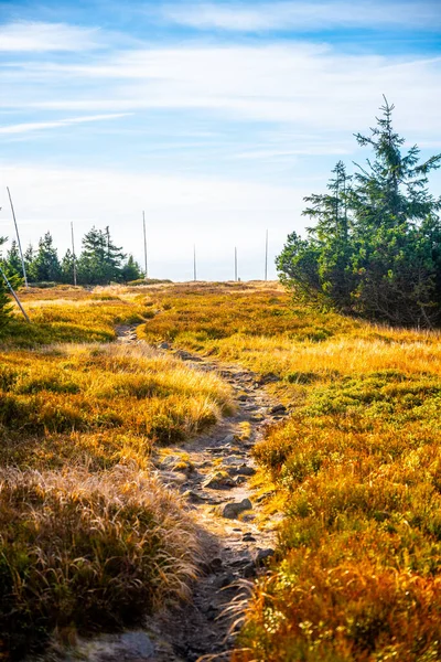 Narrow Mountain Tourist Path Marked Wooden Poles Cold Sunny Autumn — Stock Photo, Image