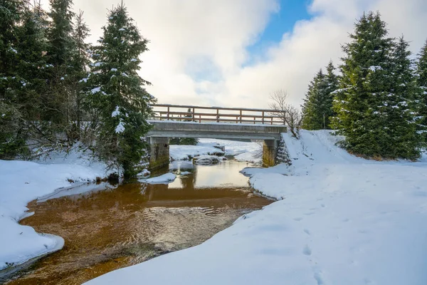 Bridge Calm Mountain Creek Wintertime Cold Snowy Day Jizera Mountains — Stock Photo, Image