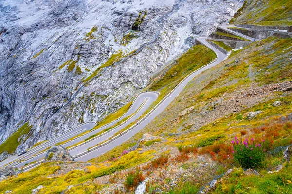 Serpentines Alpine Mountain Road Stelvio Pass Italian Passo Dello Stelvio — Foto de Stock