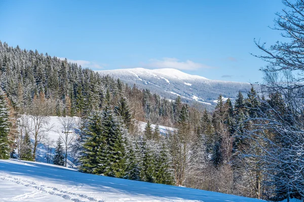 Malebná Zimní Krajina Slunečného Sněhového Dne Kopcovitá Krajina Krkonoš Čeština — Stock fotografie