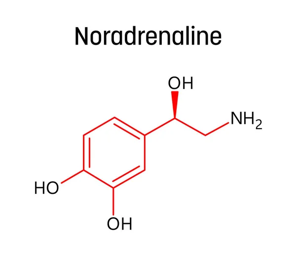 Estructura Molecular Noradrenalina Noradrenalina Norepinefrina Neurotransmisor Hormona Cuerpo Humano Fórmula — Vector de stock