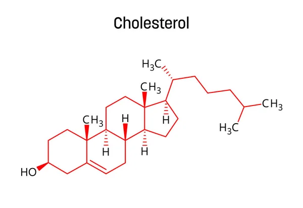 콜레스테롤 구조입니다 콜레스테롤은 세포막의 필수적 구조적 요소이다 과검은 표시가 화합물의 — 스톡 벡터