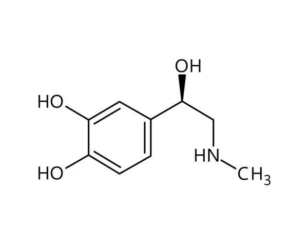 Молекулярная Структура Адреналина Адреналин Эпинефрин Является Гормоном Лекарством Регулирующим Висцеральные — стоковый вектор