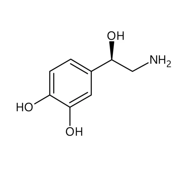 Noradrenalin Moleküler Yapısı Noradrenalin Norepinefrin Insan Vücudunda Nörotransmiter Hormondur Kırmızı — Stok Vektör