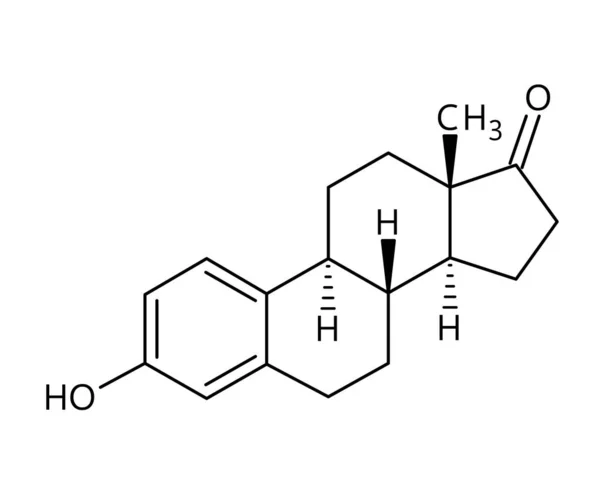 埃斯特龙分子结构 雌激素是一种类固醇 一种弱雌激素和一种次要的女性性激素 红色键 黑色原子标签化合物的矢量结构公式 — 图库矢量图片