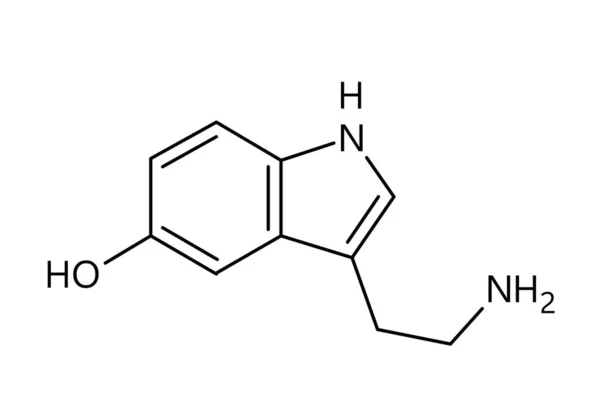 Μοριακή Δομή Σεροτονίνης Σεροτονίνη Είναι Ένας Νευροδιαβιβαστής Μονοαμινοξέων Που Διαμορφώνει — Διανυσματικό Αρχείο