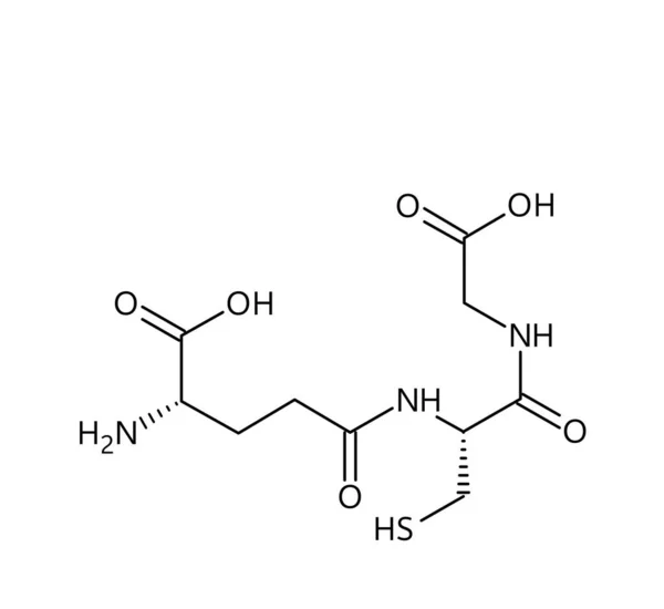 グルタチオン分子構造 グルタチオンは植物 考古学における抗酸化物質です 赤の結合及び黒の原子ラベルを有する化合物のベクトル構造式 — ストックベクタ