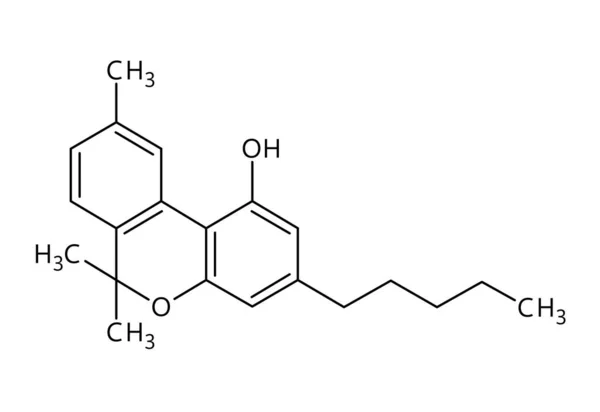 나비놀 Cbn 구조이다 나비놀 Cannabinol 대마초에서 약간의 작용성 카나비 노이드이다 — 스톡 벡터