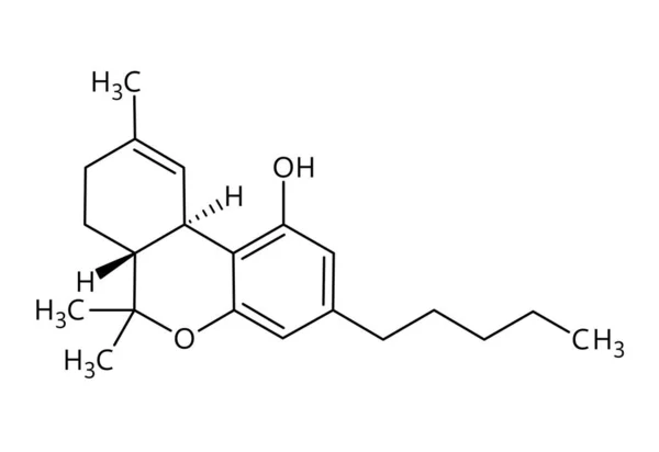 Tetrahidrocanabinol Thc Estrutura Molecular Tetrahidrocanabinol Principal Droga Psicoativa Cannabis Fórmula — Vetor de Stock