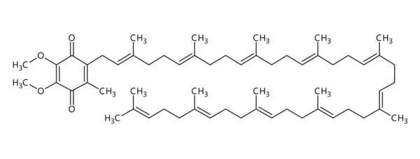 コエンザイムQ10分子構造 コエンザイムQ10 コエンザイムQ10 ユビキノン Coq10 心血管系 脳および歯の健康 身体的香水に重要な有機ビタミン様化合物である ベクトル — ストックベクタ