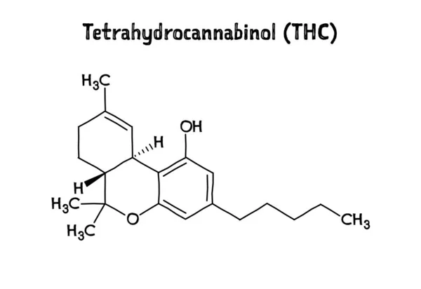 Tetrahydrocannabinol, or THC, molecular structure. Tetrahydrocannabinol is the principal psychoactive drug from cannabis. .Vector structural formula of chemical compound. Black pen Hand-drawn style.