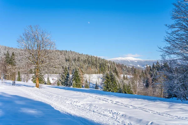 Malebná Zimní Krajina Slunečného Sněhového Dne Kopcovitá Krajina Krkonoš Čeština — Stock fotografie