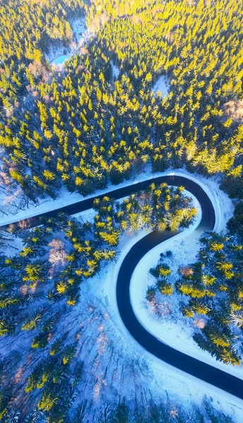 雪の多い冬にアスファルト道路蛇紋岩 ライトアップされた木々が立ち昇る森の上の寒い冬と晴れた日 ドローンからの空中風景 — ストック写真