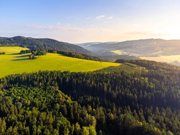 チェコ ボヘミアの森の田園風景 スマヴァ チェコ共和国 晴れた朝には緑の牧草地や針葉樹林 ドローンからの空中風景 — ストック写真