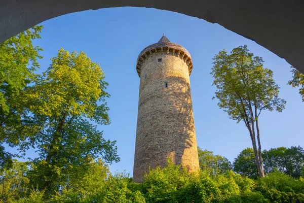 Starobylá Kulatá Kamenná Věž Jakobinka Zbytek Vyhynulého Středověkého Hradu Horní — Stock fotografie