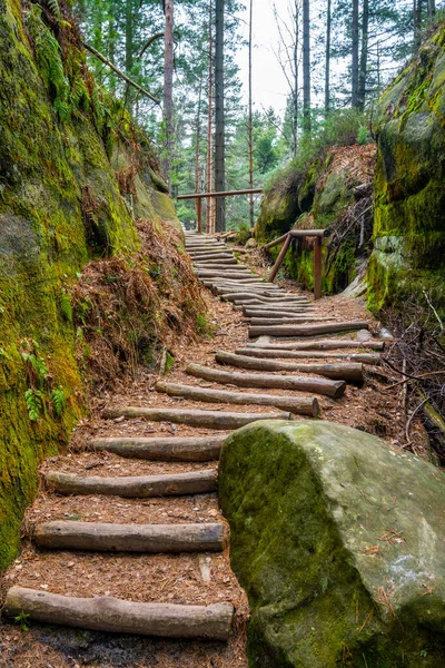 捷克共和国波希米亚乐园Drabovna砂岩区附近旅游道路上的森林楼梯 — 图库照片