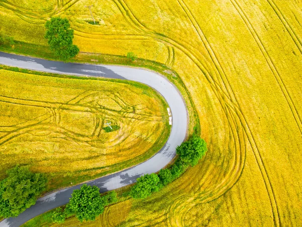农村的柏油路从上往下倾斜 夏天的风景无人机提供的空中图像 — 图库照片