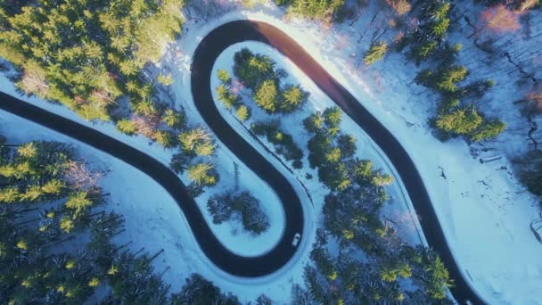 Verbogene Straße Winterwald Asphaltierte Straße Serpentinen Und Verschneite Landschaft Herum — Stockvideo