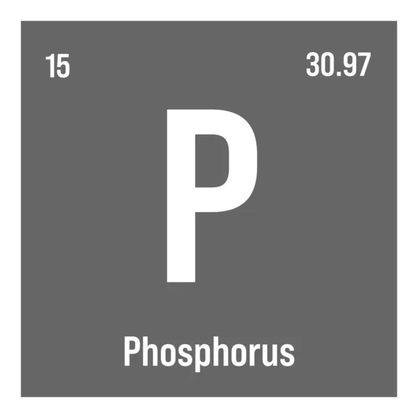 Phosphorus Periodic Table Element Name Symbol Atomic Number Weight Non — Stockvector