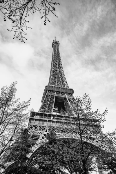 Morgonutsikt Över Eiffeltornet Från Botten Paris Frankrike Svart Och Vitt — Stockfoto