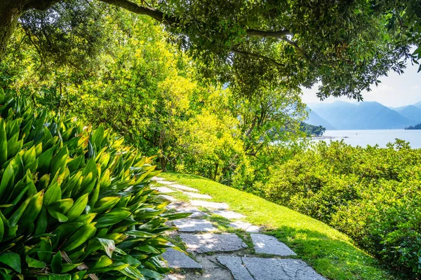 Verdor Jardines Botánicos Villa Melzi Bellagio Lago Como Italia — Foto de Stock