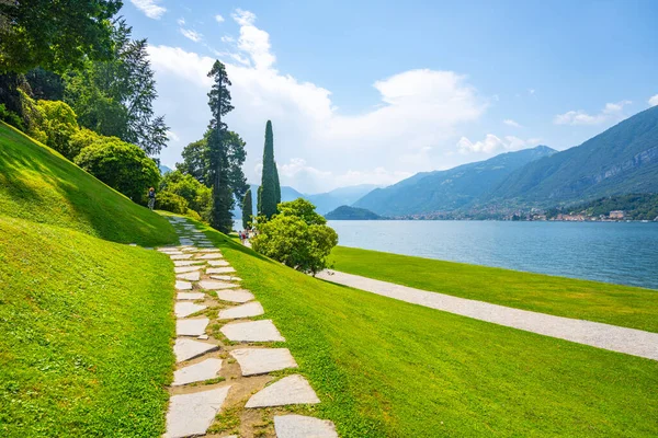 Zieleń Ogrodów Botanicznych Villa Melzi Bellagio Jezioro Como Włochy — Zdjęcie stockowe