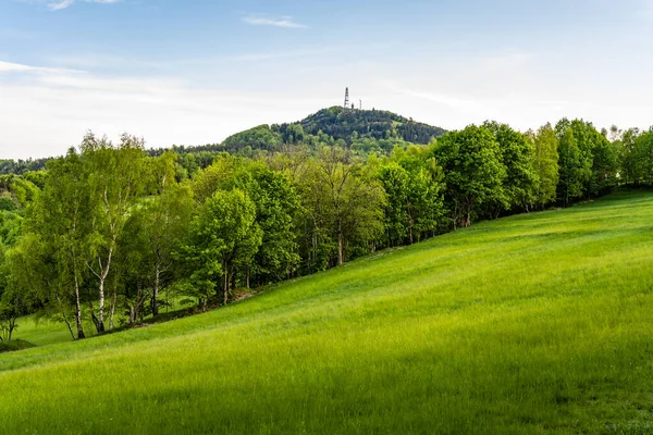 Jedlova Mountain Grünen Des Lausitzer Gebirges Tschechische Republik — Stockfoto