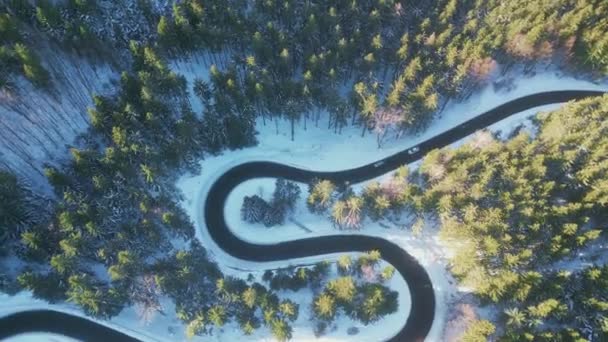 冬の森の中の曲がりくねった道 アスファルト道路蛇紋岩と周りの雪景色 ドローン飛行からの空中4K映像 — ストック動画