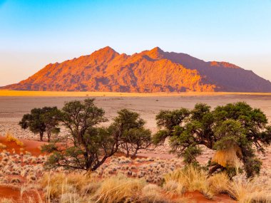 Warm sunlight bathes the rugged peaks of Namib-Naukluft Mountains at sunset, highlighting the striking contrast with the arid savannah below. clipart