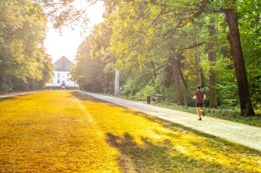 A runner jogs down a path through the trees of Hvezda Game Reserve, the evening sun casting long shadows on the grass. Prague, Czechia clipart