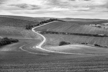 Vast fields and gently rolling hills characterize the Moravian Tuscany landscape in Czechia. A narrow winding road invites exploration through this picturesque agricultural terrain. clipart