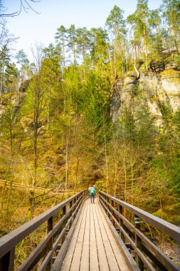 A hiker crosses Mezni Bridge, surrounded by lush greenery and impressive rock formations in the breathtaking Bohemian Switzerland National Park during a sunny day. clipart