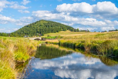 A serene view of the Jizerka village showcases the reflection of Bukovec Mountain in the calm waters of a river. Lush greenery and gentle hills surround the picturesque landscape under a cloudy sky. clipart