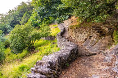 Hikers traverse the ancient Sentiero del Viandante, enjoying the lush greenery and historic stone paths that line the eastern shore of Lake Como. A peaceful journey through nature awaits. clipart