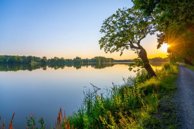 The sun rises above the tranquil waters of Trebonsko Pond System, reflecting vibrant colors while lush greenery lines the peaceful pathway at dawn. clipart