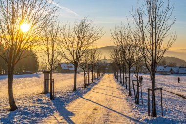 Golden light of sunset bathes the snow-covered path in Prichovice, Czechia. Bare trees line the way, leading toward distant hills and quaint buildings in the serene winter scene. clipart